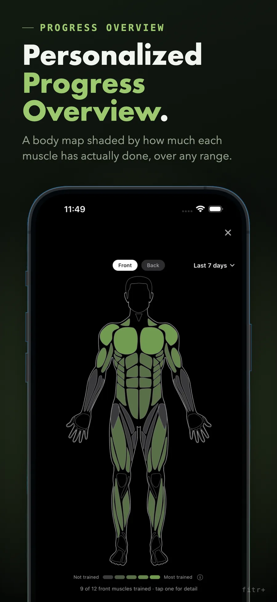 fitr+ body map shaded by how much each muscle has been trained